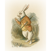 the white rabbit from alice in wonderland